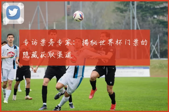 专访票务专家：揭秘世界杯门票的隐藏获取渠道