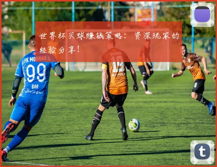 世界杯买球赚钱策略:资深玩家的经验分享!