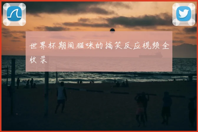 世界杯期间猫咪的搞笑反应视频全收录