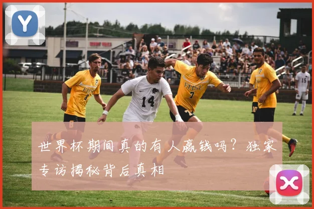 世界杯期间真的有人赢钱吗？独家专访揭秘背后真相
