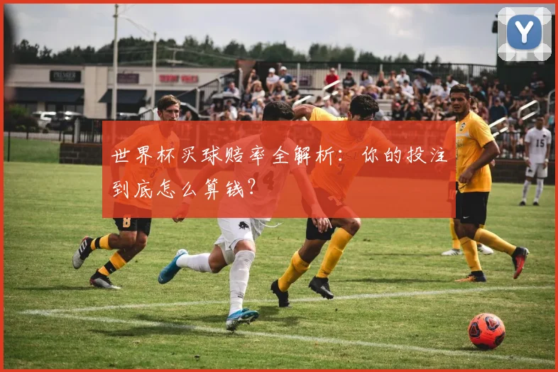 世界杯买球赔率全解析：你的投注到底怎么算钱？