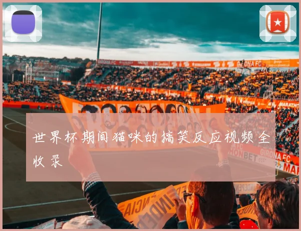 世界杯期间猫咪的搞笑反应视频全收录