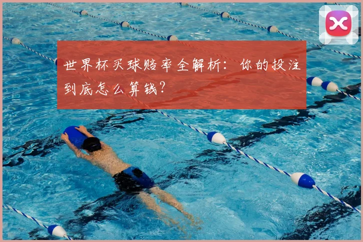 世界杯买球赔率全解析:你的投注到底怎么算钱?