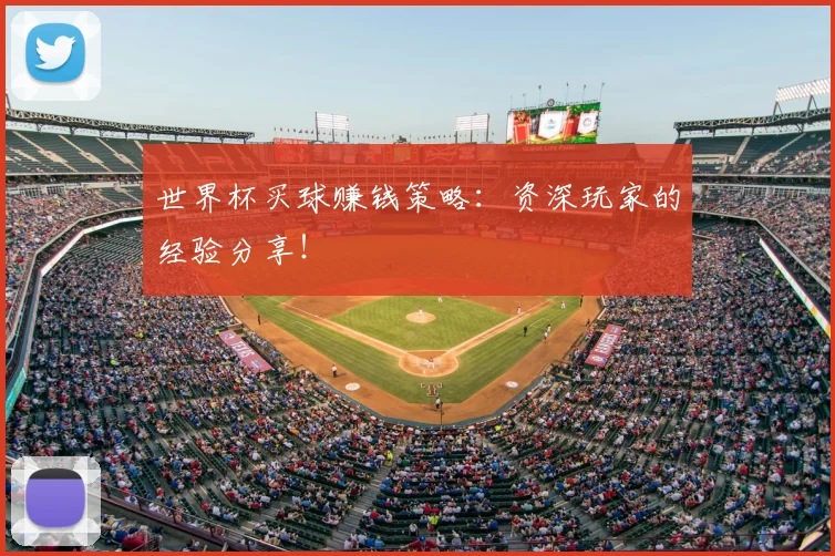 世界杯买球赚钱策略:资深玩家的经验分享!