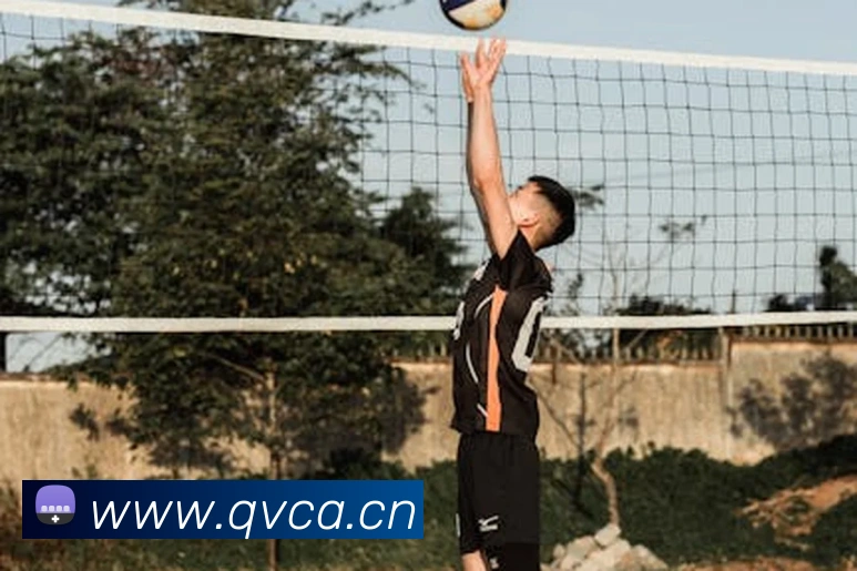 爱游戏官方体育网站APP 封面图